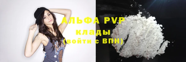 дмт Вяземский