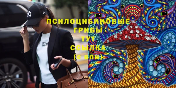 дмт Вяземский