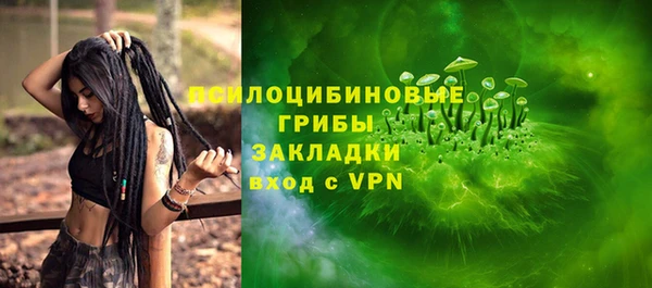дмт Вяземский