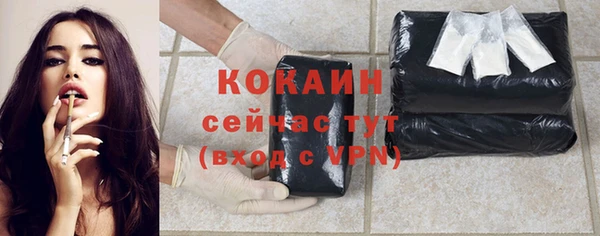 дмт Вяземский