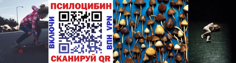 Псилоцибиновые грибы GOLDEN TEACHER  Купить закладки  Кизляр 
